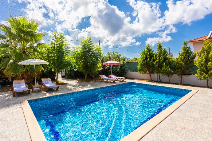 Private pool and terrace  . - Villa Magnolia . (Photo Gallery) }}