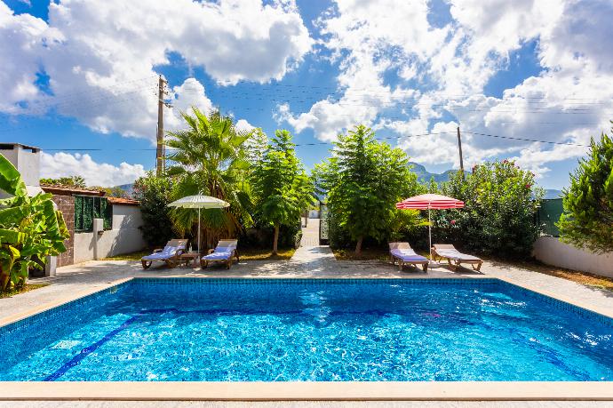 Private pool and terrace . - Villa Magnolia . (Photo Gallery) }}