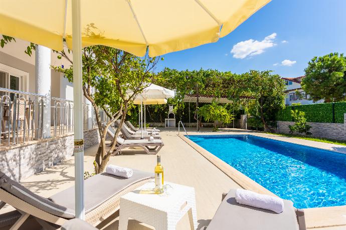 Private pool and terrace . - Villa Daisy . (Photo Gallery) }}