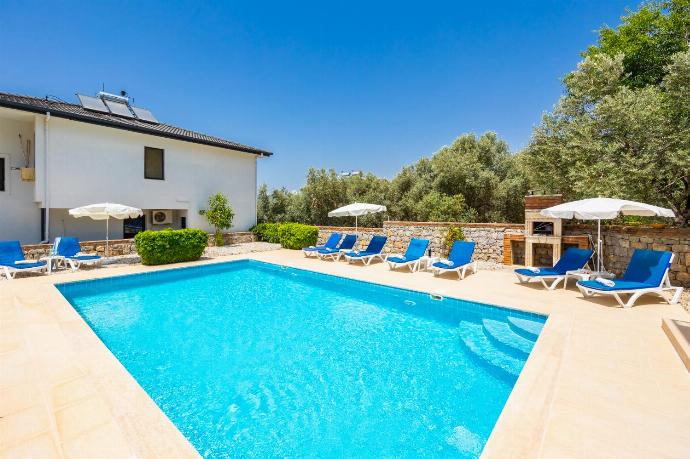 Private pool and terrace . - Golden Trio Villa . (Photo Gallery) }}