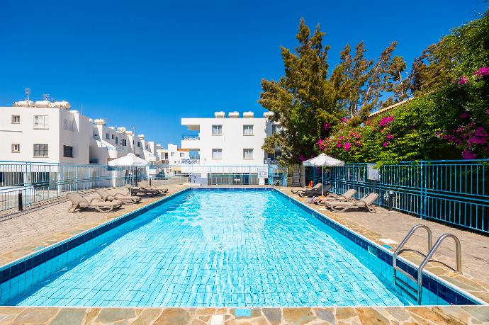 Shared pool . - Bluesea View Latchi Apartment . (Fotogalerie) }}