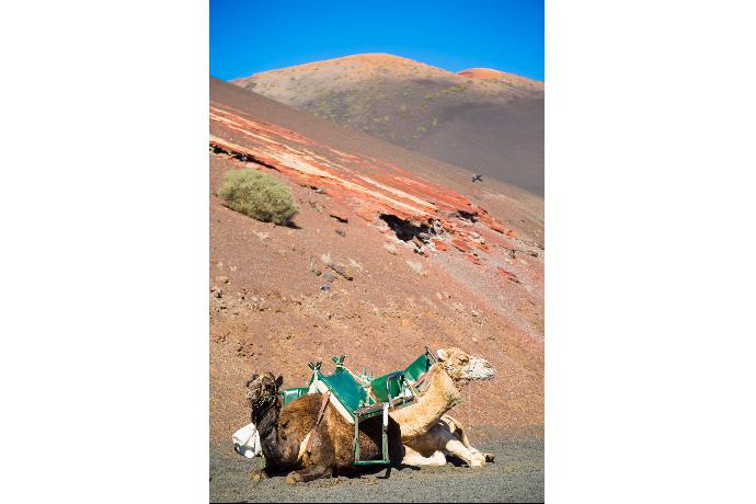 Lanzarote . - Las Caletas . (Photo Gallery) }}