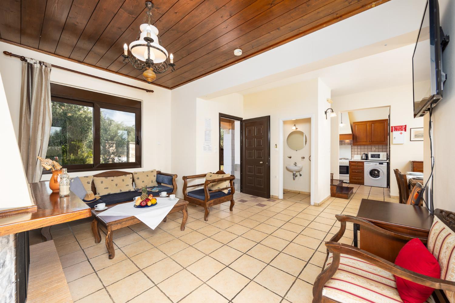 Living room with sofa, ornamental fireplace, WiFi internet, and satellite TV