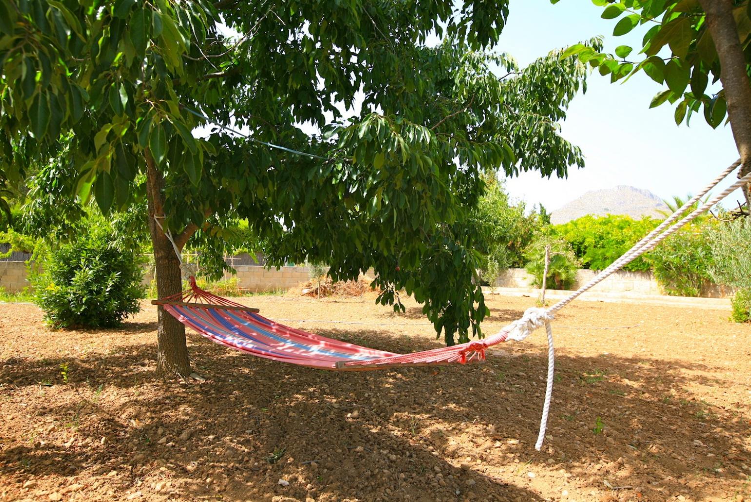 Garden area