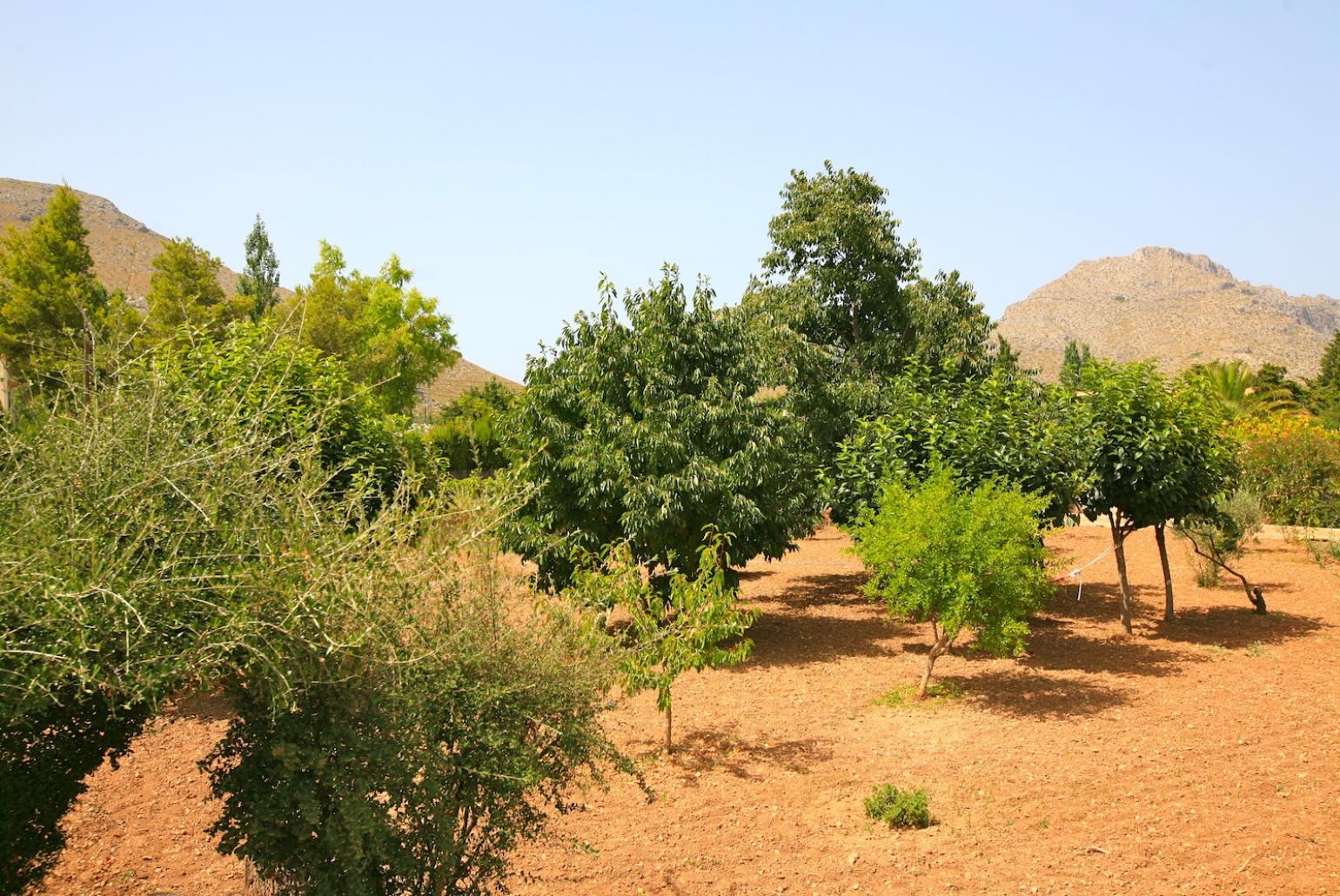 Garden area