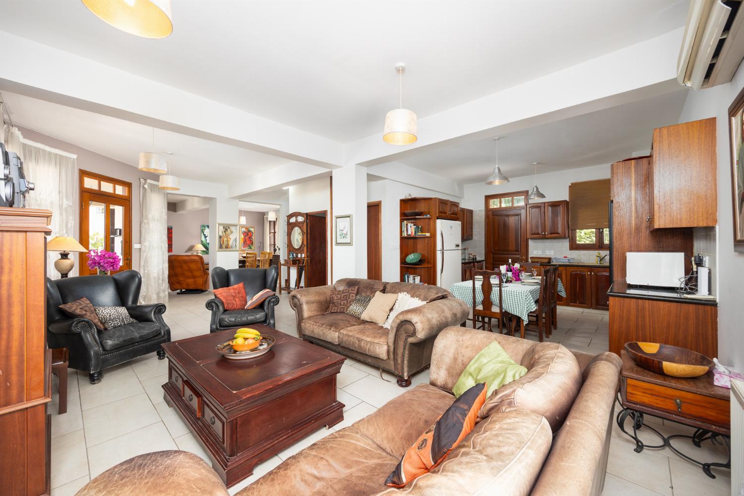 Open-plan living room with sofas, dining area, kitchen, ornamental fireplace, A/C, WiFi internet, and satellite TV