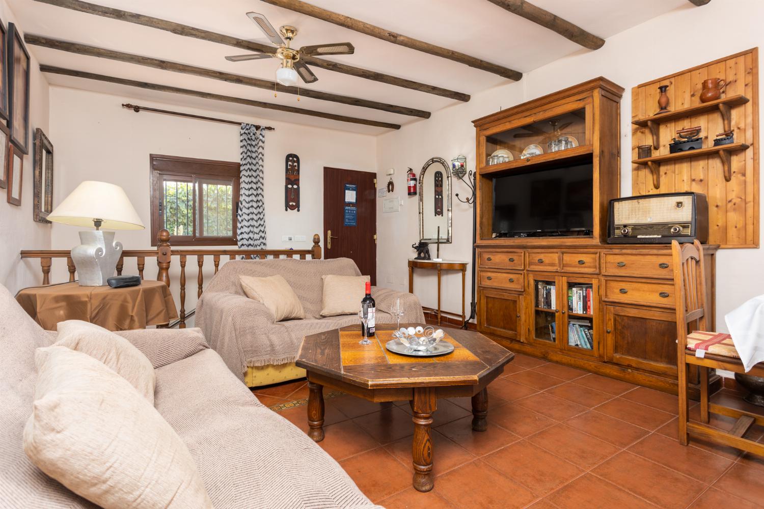 Sheltered terrace area with BBQ and views of Frigiliana