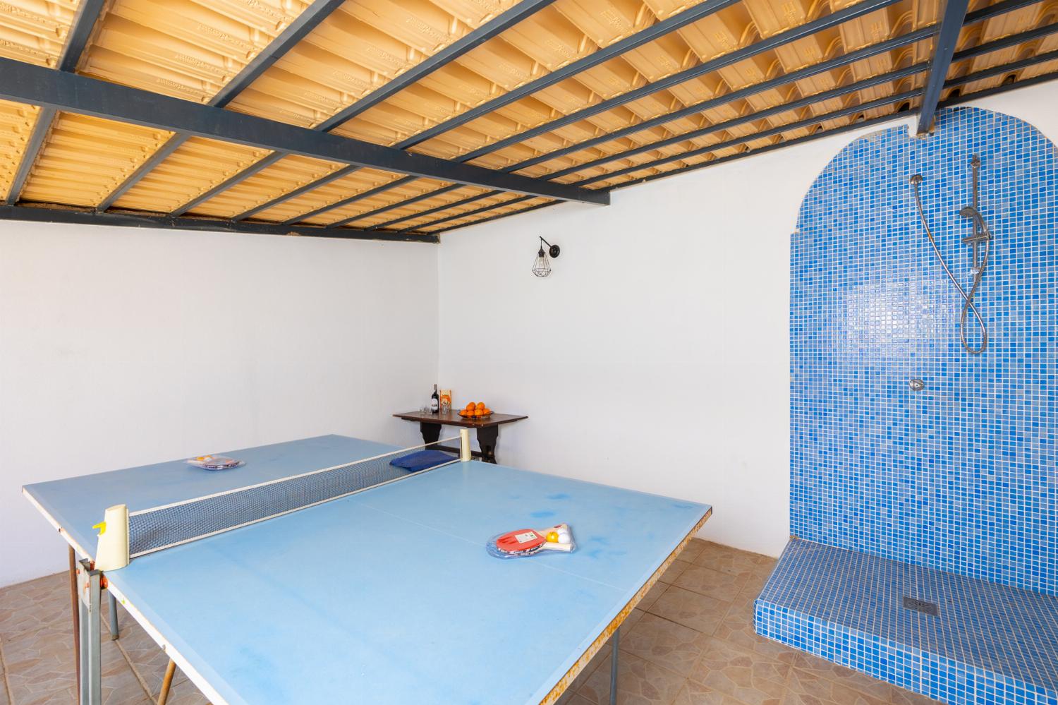 Sheltered terrace with table tennis and outdoor shower