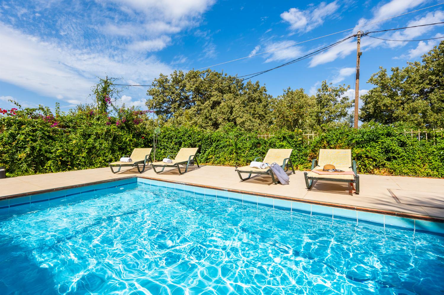 Private pool and terrace