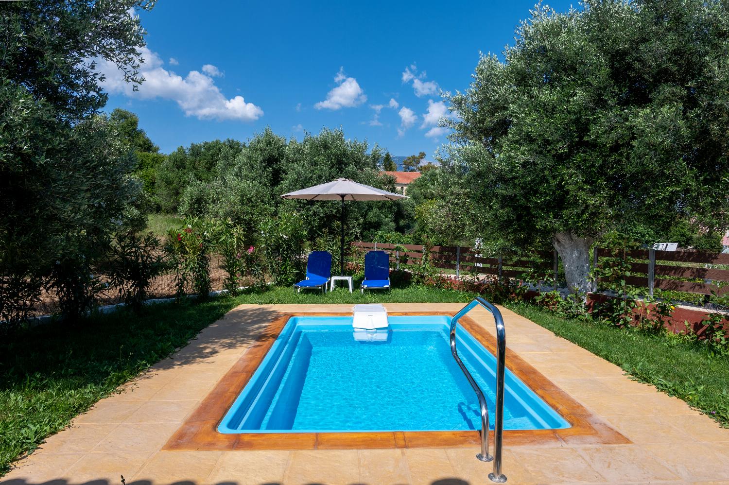 Private pool, terrace, and garden