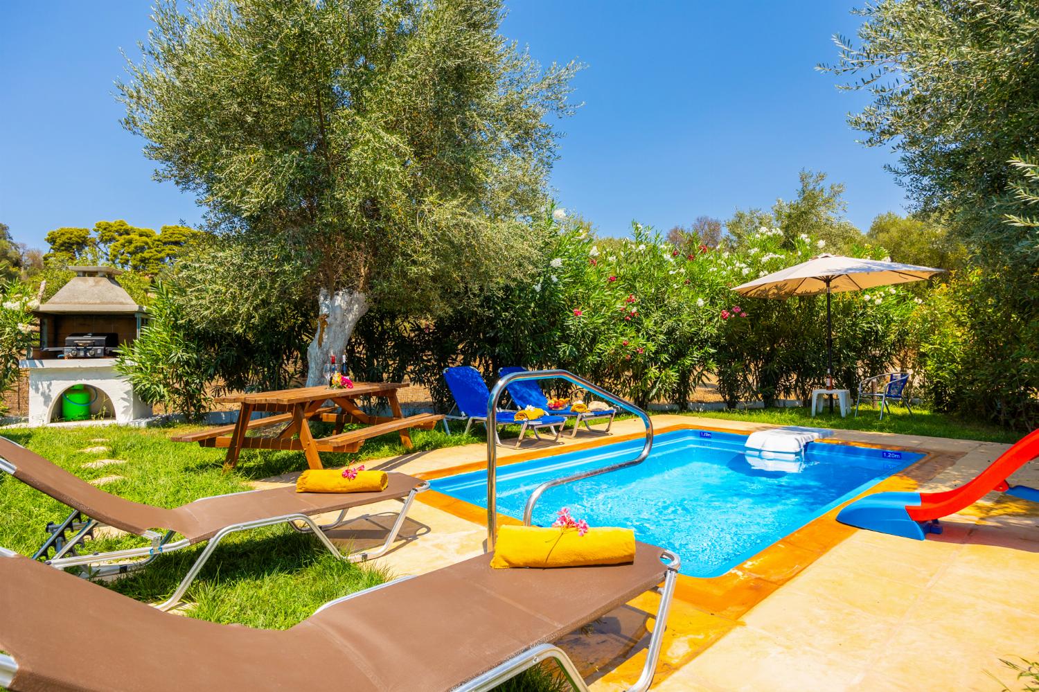 Private pool, terrace, and garden