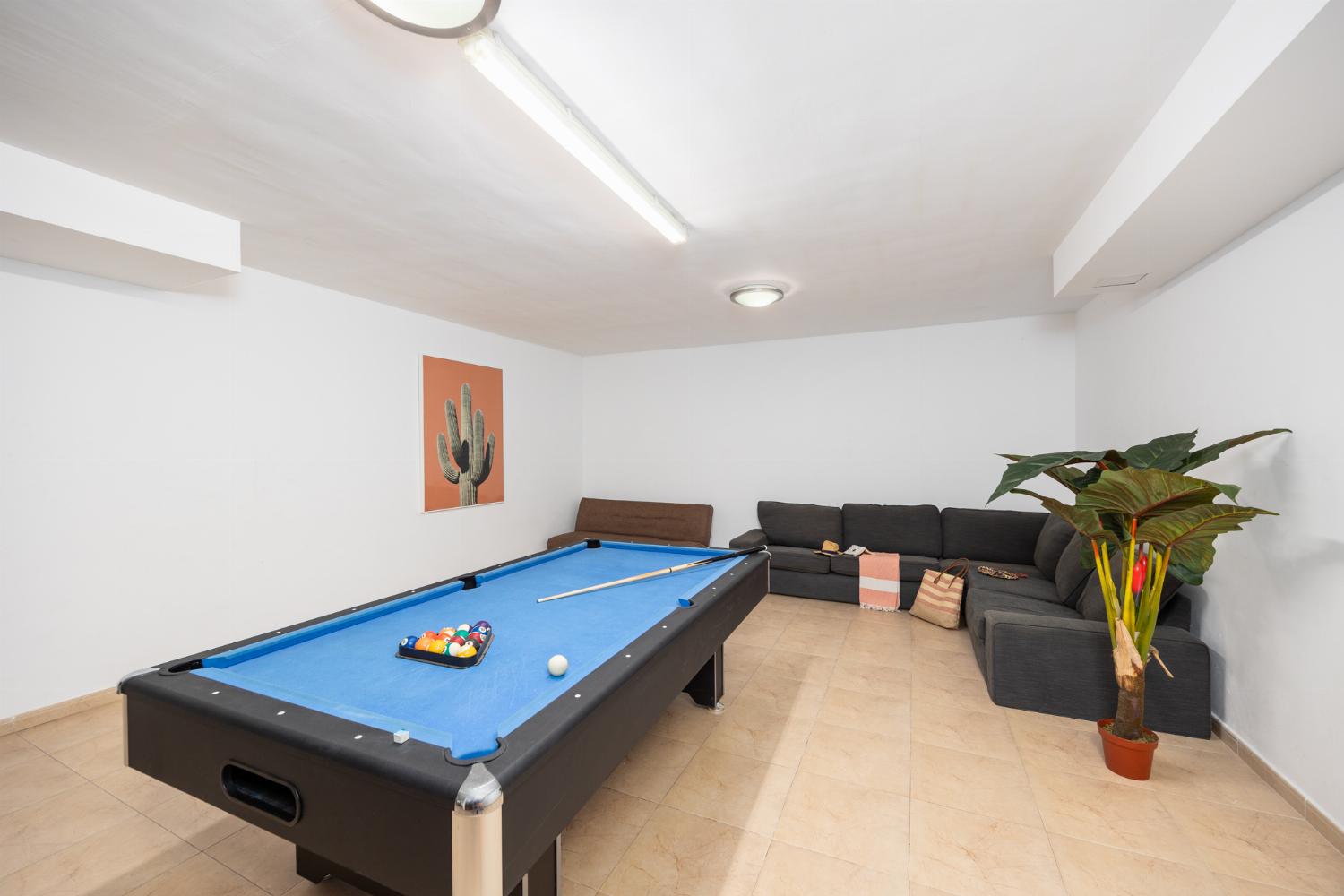 Living area with sofa and pool table